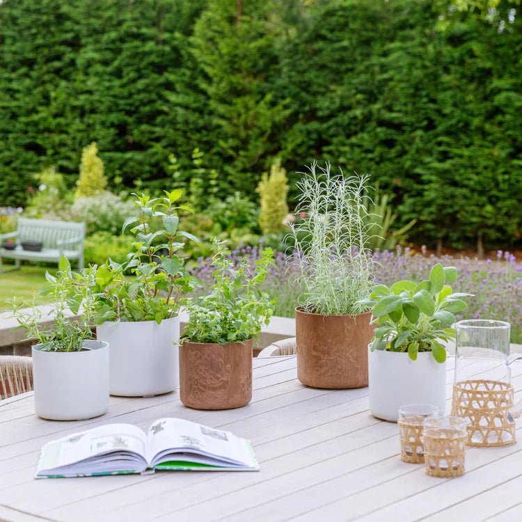 Set of 2 Celine Indoor Planters White Stone Finish - Waterproof, 100% Recycled, UV Stable Quality Home Decor Garden & Outdoor Living and Gifts