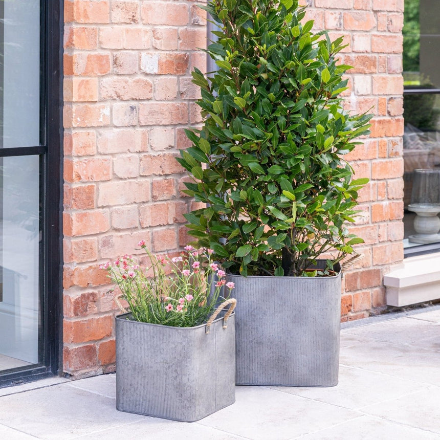 Set of 2 Outdoor Square Planters w/Rope Handles Galvanised Iron - Farmhouse Country Style Quality Home Decor Garden & Outdoor Living and Gifts