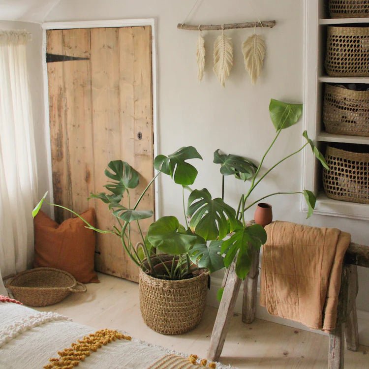 Set of 2 Seagrass Baskets or Plant Containers - With Handles and Lining Luxury Home Decor Garden & Outdoor And Gifts