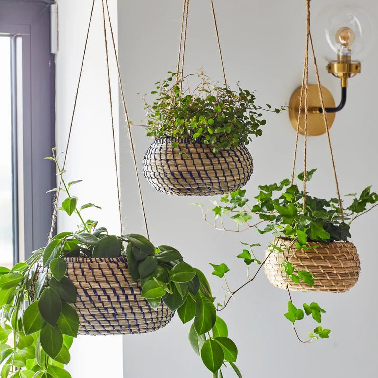 Set of 2 Seagrass Indoor Hanging Baskets - Perfect For Trailing Plants Luxury Home Decor Garden & Outdoor And Gifts