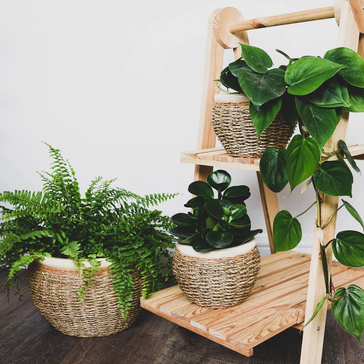 Set of 2 Seagrass Indoor Planters - Waterproof, Suit All Home Interior Styles, Lightweight Quality Home Decor Garden & Outdoor Living and Gifts