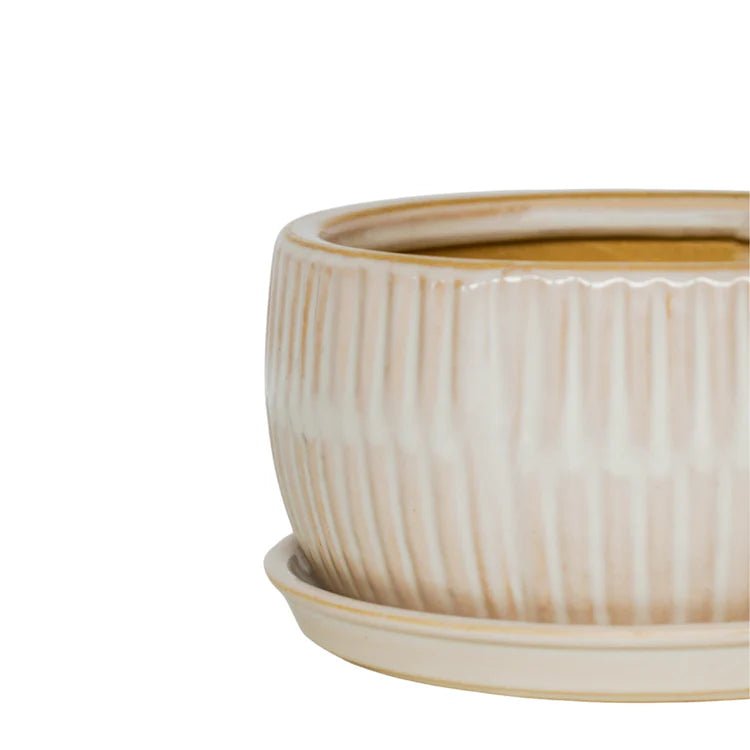 Set of 2 White Bonsai Round Planters Luxury Home Decor Garden & Outdoor And Gifts