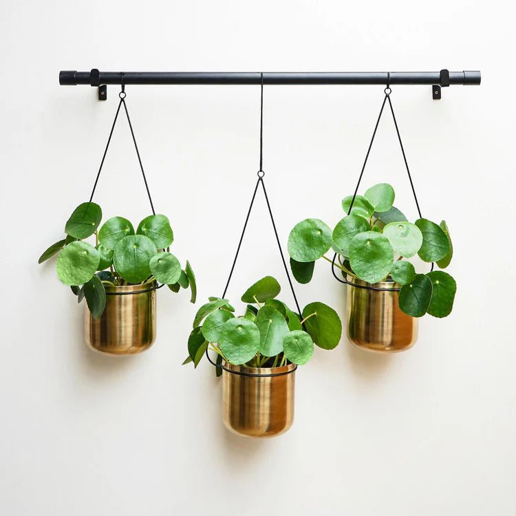 Set of 3 Linear Gold Finish Indoor Hanging Planters Luxury Home Decor Garden & Outdoor And Gifts