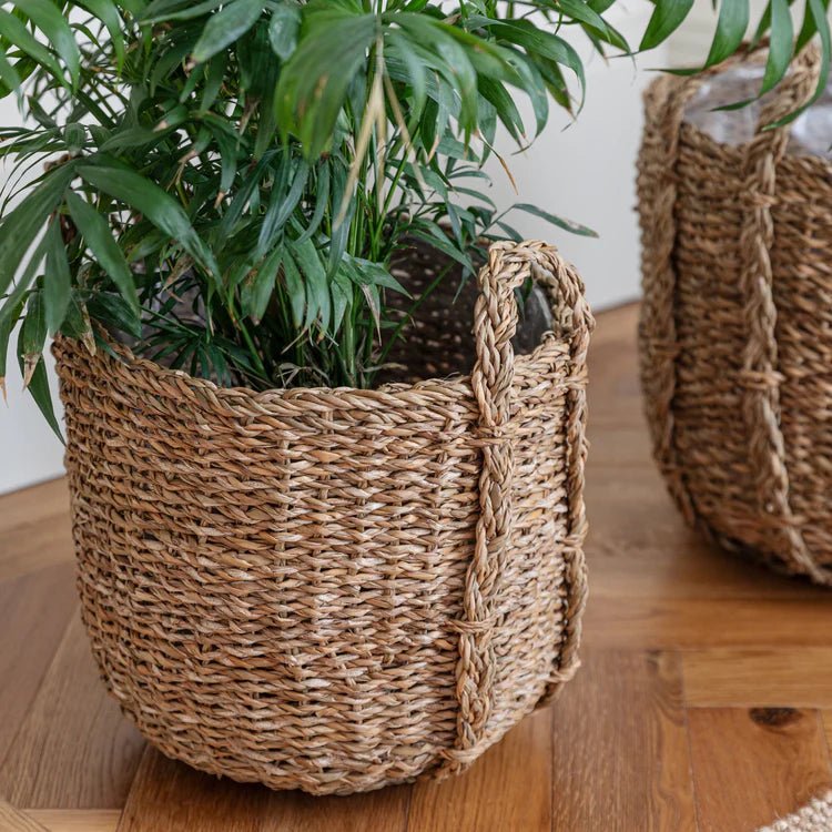 Set of 3 Seagrass Indoor Planters or Storage Baskets - With Handles & Waterproof Lining Luxury Home Decor Garden & Outdoor And Gifts