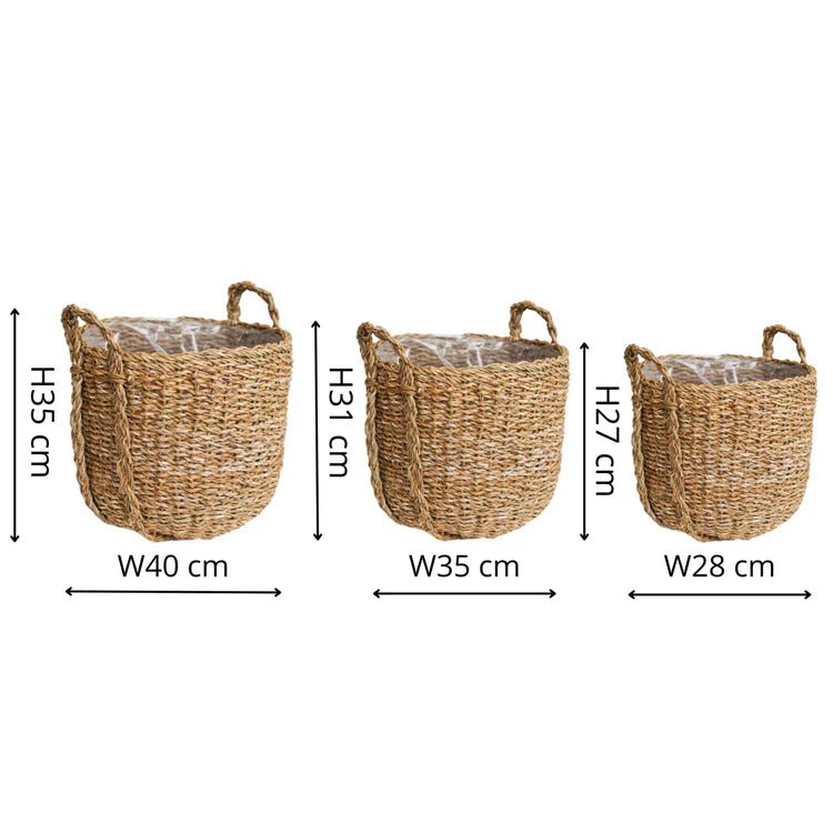Set of 3 Seagrass Indoor Planters or Storage Baskets - With Handles & Waterproof Lining Luxury Home Decor Garden & Outdoor And Gifts