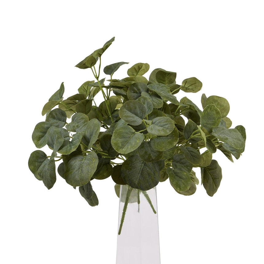 Short Eucalyptus Bunch Luxury Home Decor Garden & Outdoor And Gifts