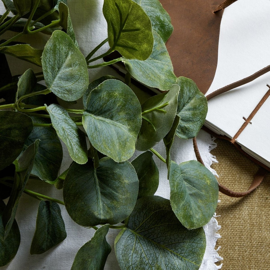 Short Eucalyptus Bunch Luxury Home Decor Garden & Outdoor And Gifts