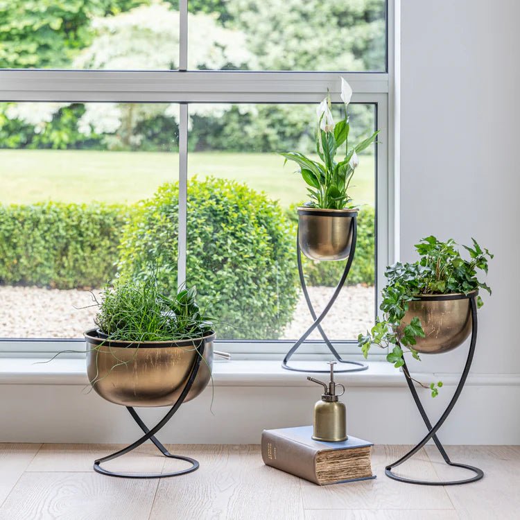 Small Brass Finish Indoor Planter - Black Frame Stand Luxury Home Decor Garden & Outdoor And Gifts