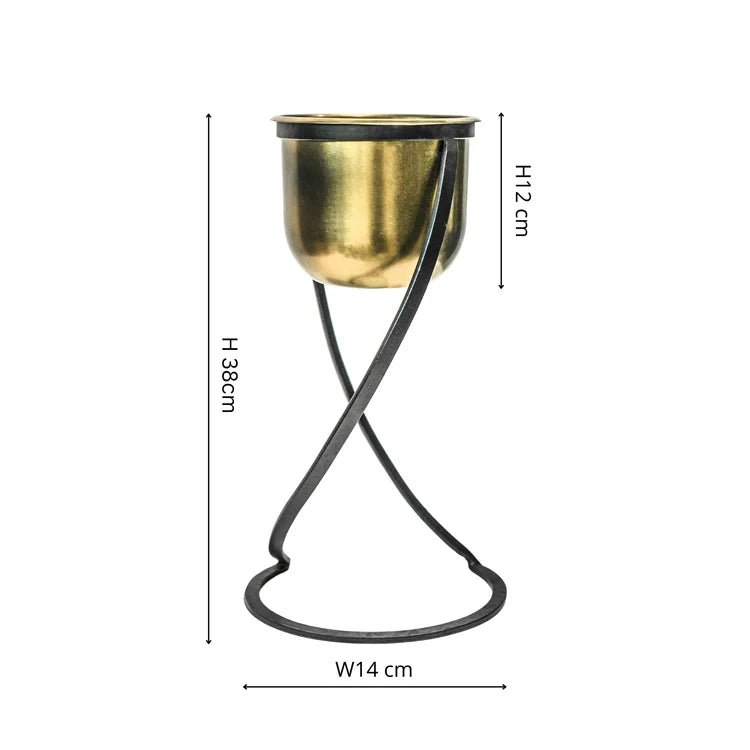 Small Brass Finish Indoor Planter - Black Frame Stand Luxury Home Decor Garden & Outdoor And Gifts