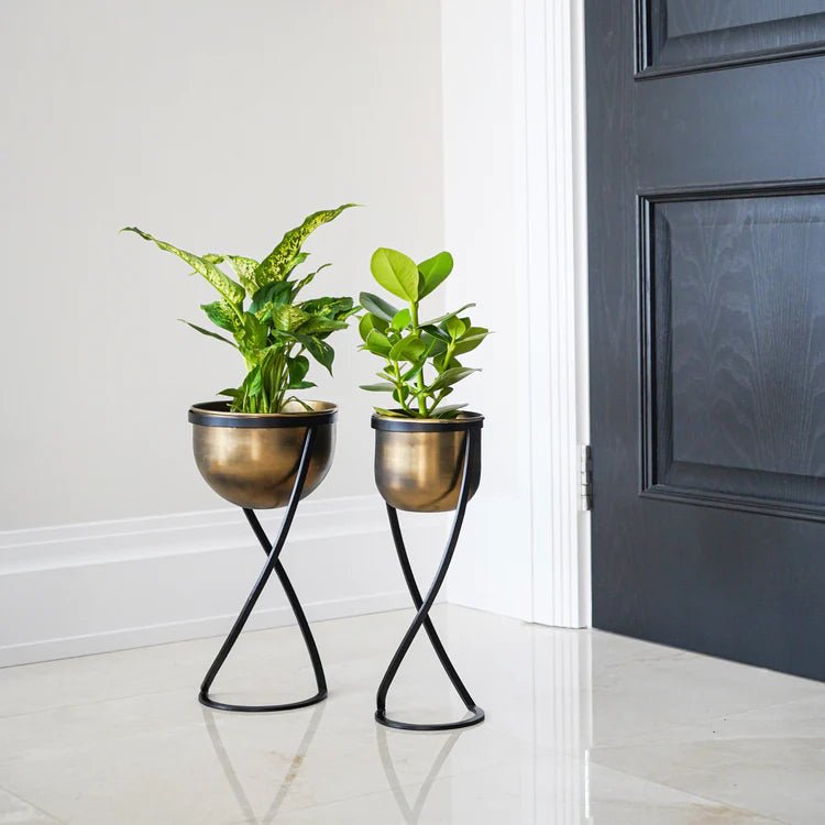Small Brass Finish Indoor Planter - Black Frame Stand Luxury Home Decor Garden & Outdoor And Gifts