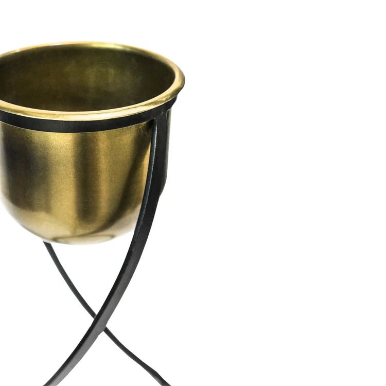 Small Brass Finish Indoor Planter - Black Frame Stand Luxury Home Decor Garden & Outdoor And Gifts