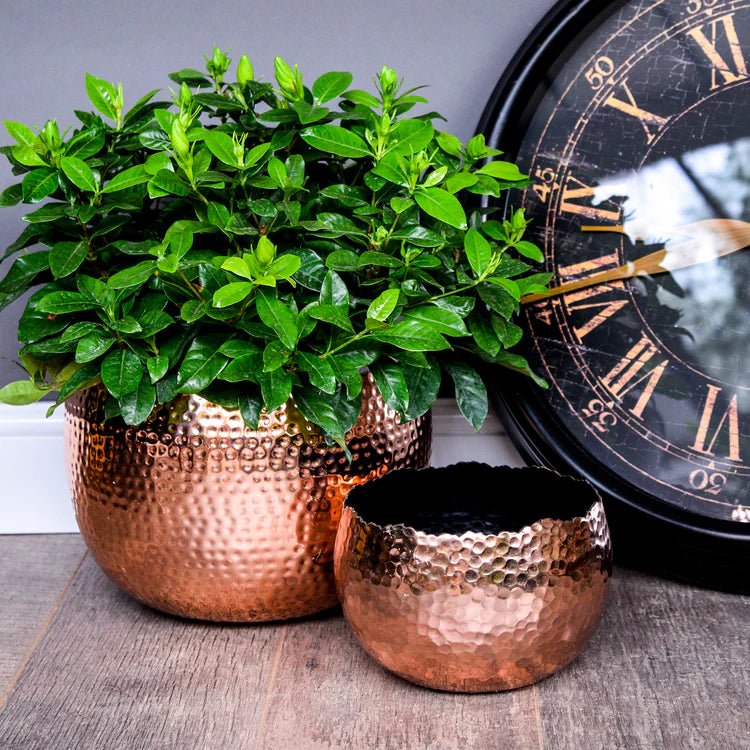 Small Copper & Black Hammered Bowl - Accent Piece and/or Waterproof Indoor Planter Luxury Home Decor Garden & Outdoor And Gifts