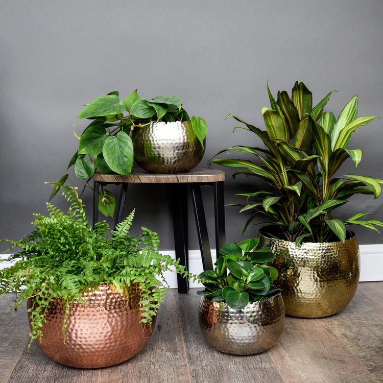 Small Copper & Black Hammered Bowl - Accent Piece and/or Waterproof Indoor Planter Luxury Home Decor Garden & Outdoor And Gifts