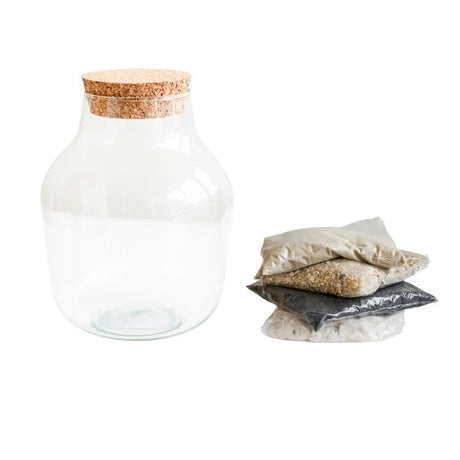 Small DIY Glass Jar Terrarium Kit With Lid Luxury Home Decor Garden & Outdoor And Gifts
