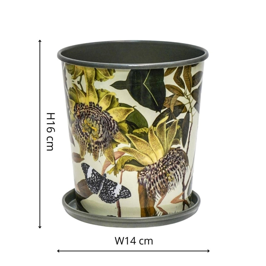 Small Kew Gardens Archive Print Metal Planter & Saucer Set - Comes in a Gift Box Luxury Home Decor Garden & Outdoor And Gifts