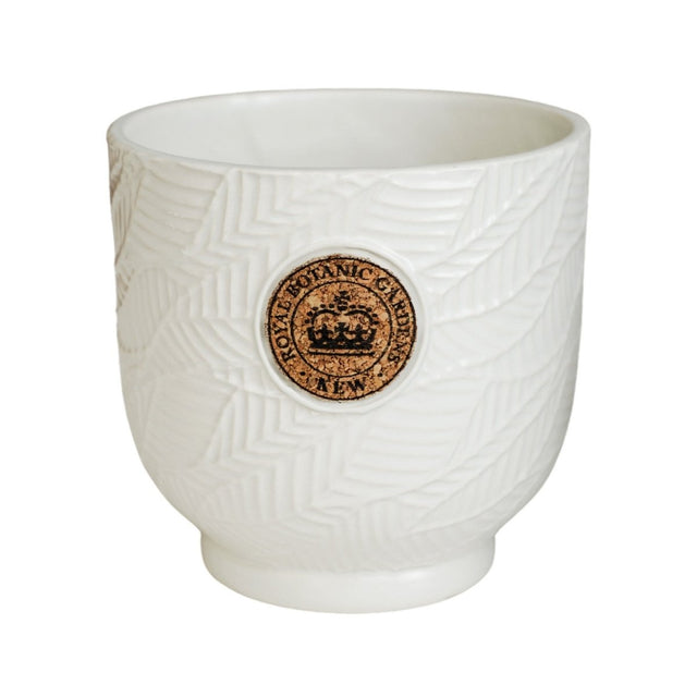 Small Kew Gardens Ceramic Leaf Inspired Ivory White Indoor Planter Luxury Home Decor Garden & Outdoor And Gifts