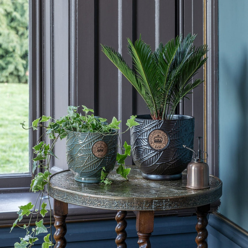 Small Kew Gardens Ceramic Leaf Inspired Moss Green Indoor Planter Luxury Home Decor Garden & Outdoor And Gifts