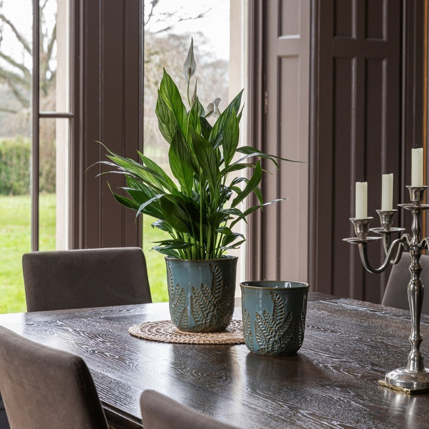 Small Kew Gardens Fern Pattern Teal Ceramic Indoor Planter Luxury Home Decor Garden & Outdoor And Gifts