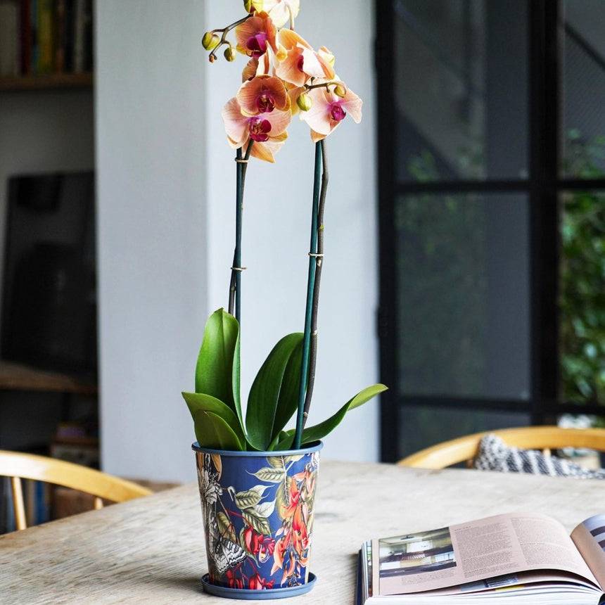 Small Kew Gardens Print Metal Planter & Saucer Set - Comes in a Gift Box Luxury Home Decor Garden & Outdoor And Gifts