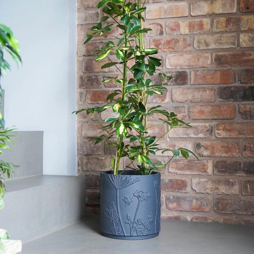 Small Kew Gardens Stoneware Dark Grey Indoor Planter - Handmade With a Meadow Flowers Embossed Pattern Luxury Home Decor Garden & Outdoor And Gifts