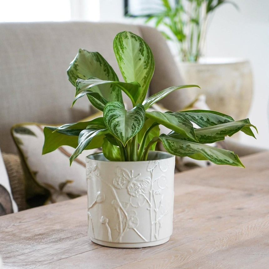 Small Kew Gardens Stoneware Ivory Indoor Planter - Handmade With a Meadow Flowers Embossed Pattern Luxury Home Decor Garden & Outdoor And Gifts