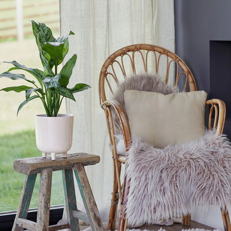 Small White & Grey Speckled Indoor Plant Pot Luxury Home Decor Garden & Outdoor And Gifts