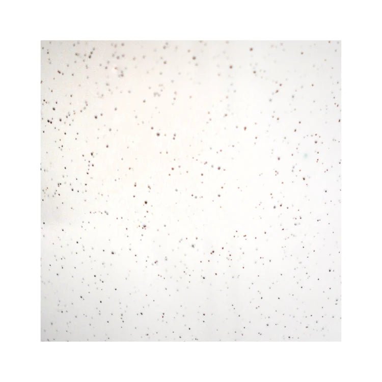 Small White & Grey Speckled Indoor Plant Pot Luxury Home Decor Garden & Outdoor And Gifts