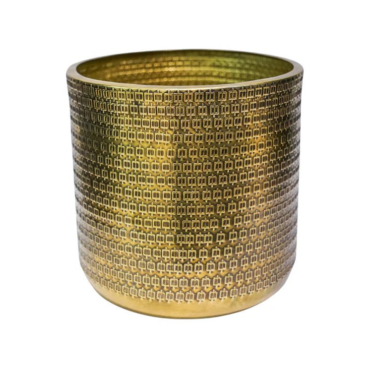 Solis Embossed Small Indoor Planter - Exquisite Gold - Tone Embossing Offsets Vivid Green Flora Quality Home Decor Garden & Outdoor Living and Gifts