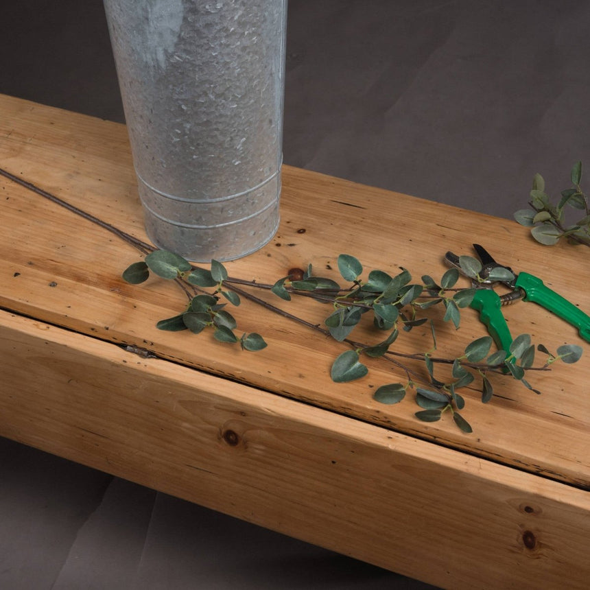 Tall Eucalyptus Stem Luxury Home Decor Garden & Outdoor And Gifts