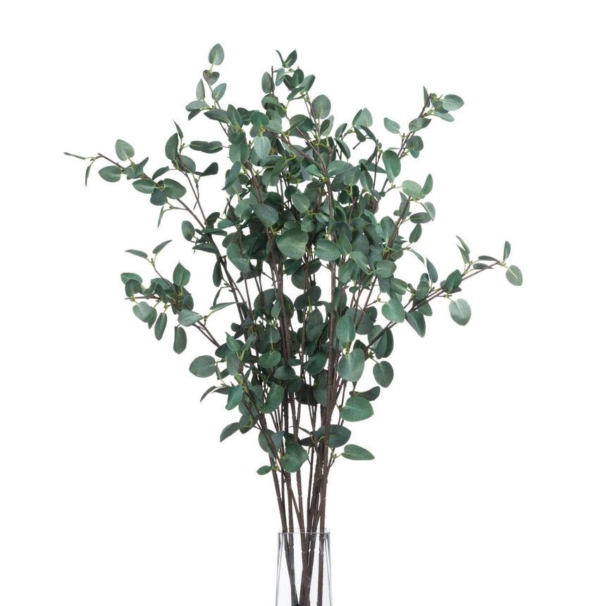 Tall Eucalyptus Stem Luxury Home Decor Garden & Outdoor And Gifts