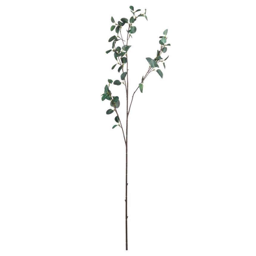 Tall Eucalyptus Stem Luxury Home Decor Garden & Outdoor And Gifts
