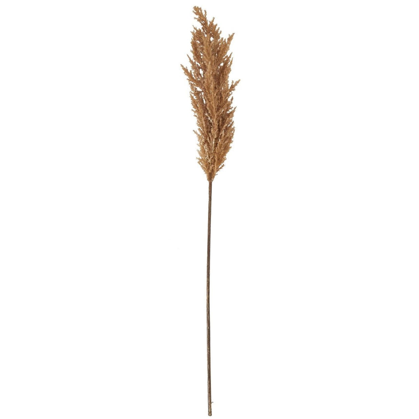 Taupe Faux Dried Pampas Grass - Luxury Artificial Flower Single Stem Luxury Home Decor Garden & Outdoor And Gifts