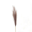 Taupe Faux Pampas Grass - Luxury Artificial Flower Single Stem Luxury Home Decor Garden & Outdoor And Gifts