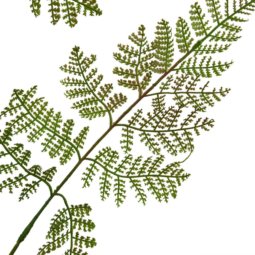 The Natural Garden Collection Large Bracken Fern Spray Luxury Home Decor Garden & Outdoor And Gifts