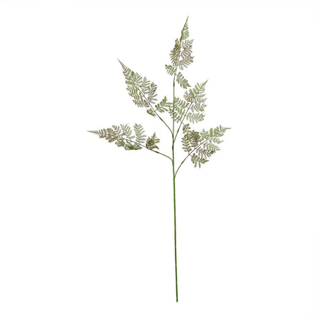 The Natural Garden Collection Large Bracken Fern Spray Luxury Home Decor Garden & Outdoor And Gifts