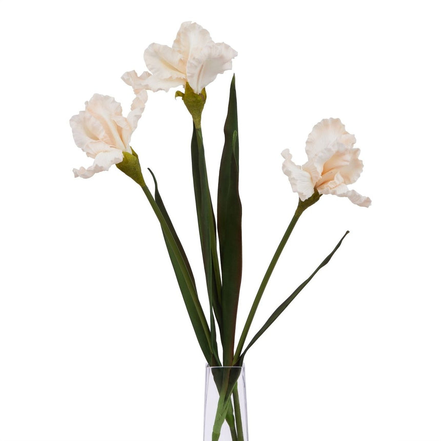 The Natural Garden Collection Pale Apricot Fringed Iris - Luxury Artificial Flower Single Stem Luxury Home Decor Garden & Outdoor And Gifts