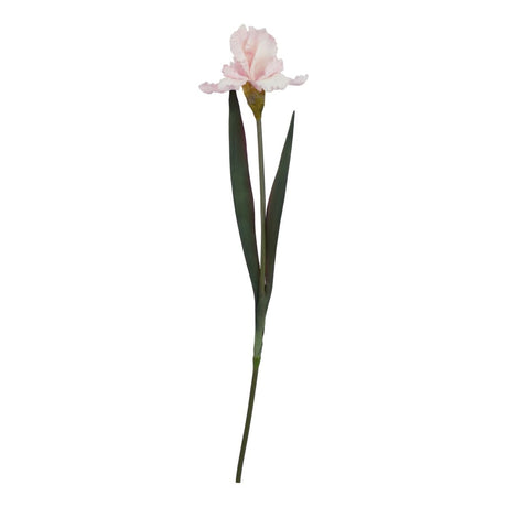 The Natural Garden Collection Pale Pink Fringed Iris - Luxury Artificial Flower Single Stem Luxury Home Decor Garden & Outdoor And Gifts