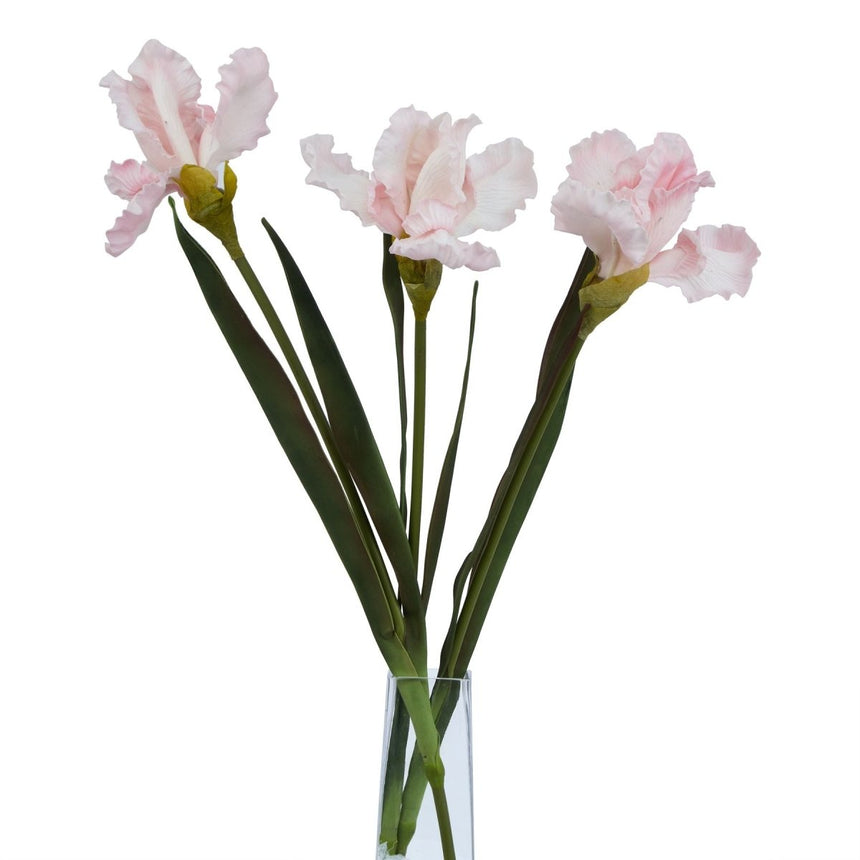 The Natural Garden Collection Pale Pink Fringed Iris - Luxury Artificial Flower Single Stem Luxury Home Decor Garden & Outdoor And Gifts