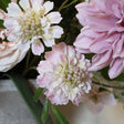 The Natural Garden Collection Pale Pink Scabious Stem Luxury Home Decor Garden & Outdoor And Gifts