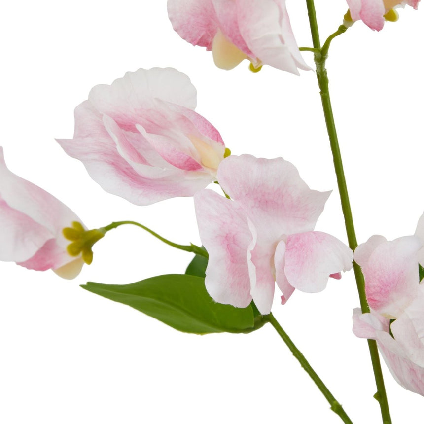 The Natural Garden Collection Pale Pink Sweetpea Stem Luxury Home Decor Garden & Outdoor And Gifts