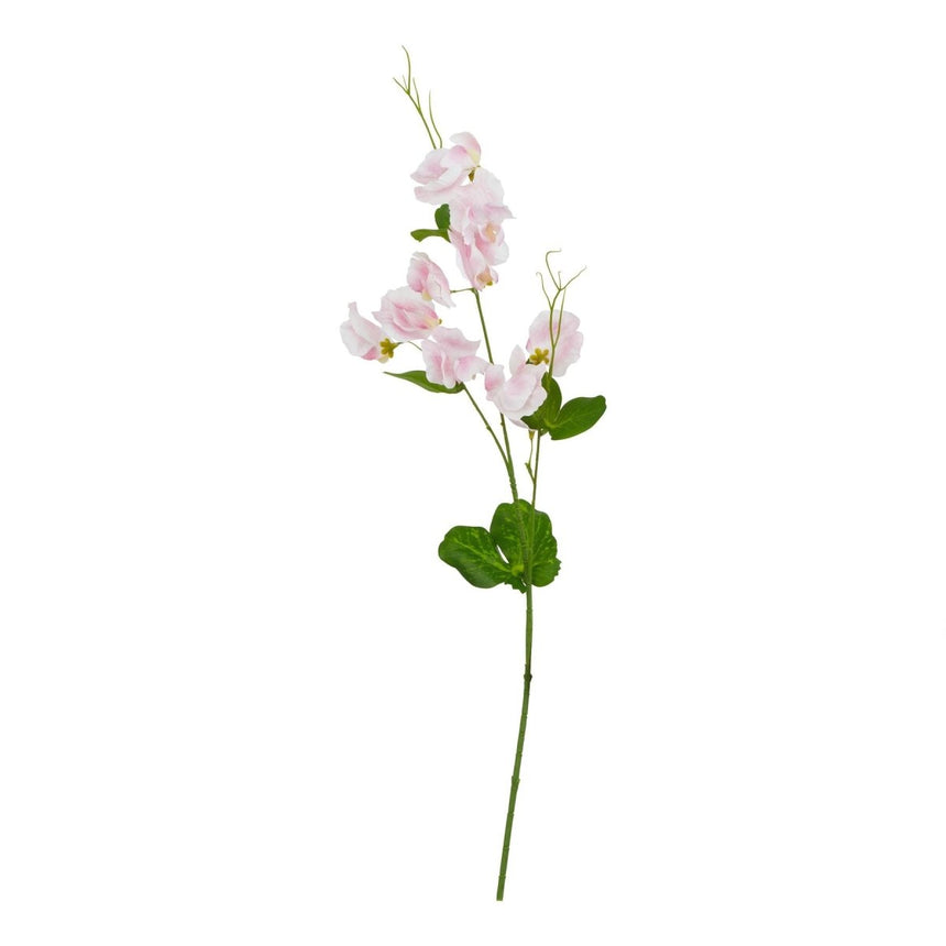 The Natural Garden Collection Pale Pink Sweetpea Stem Luxury Home Decor Garden & Outdoor And Gifts