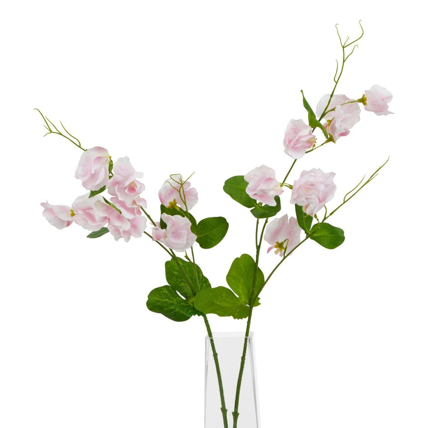 The Natural Garden Collection Pale Pink Sweetpea Stem Luxury Home Decor Garden & Outdoor And Gifts