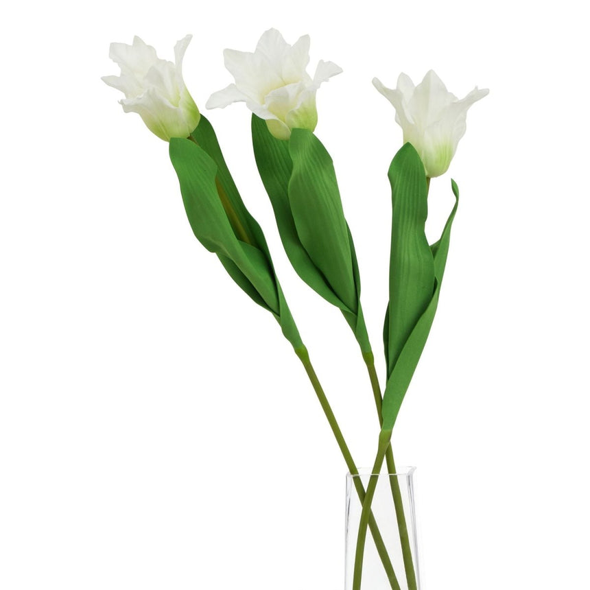 The Natural Garden Collection White Parrot Tulip Luxury Home Decor Garden & Outdoor And Gifts