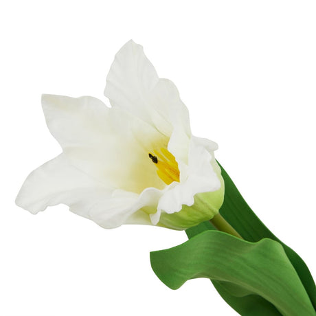 The Natural Garden Collection White Parrot Tulip Luxury Home Decor Garden & Outdoor And Gifts