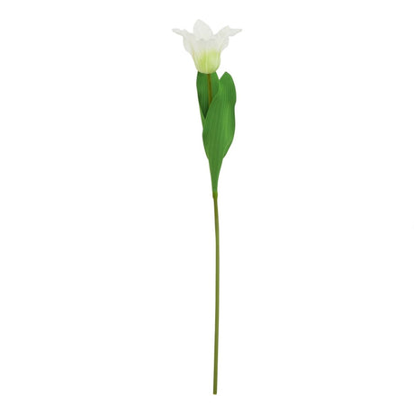 The Natural Garden Collection White Parrot Tulip Luxury Home Decor Garden & Outdoor And Gifts