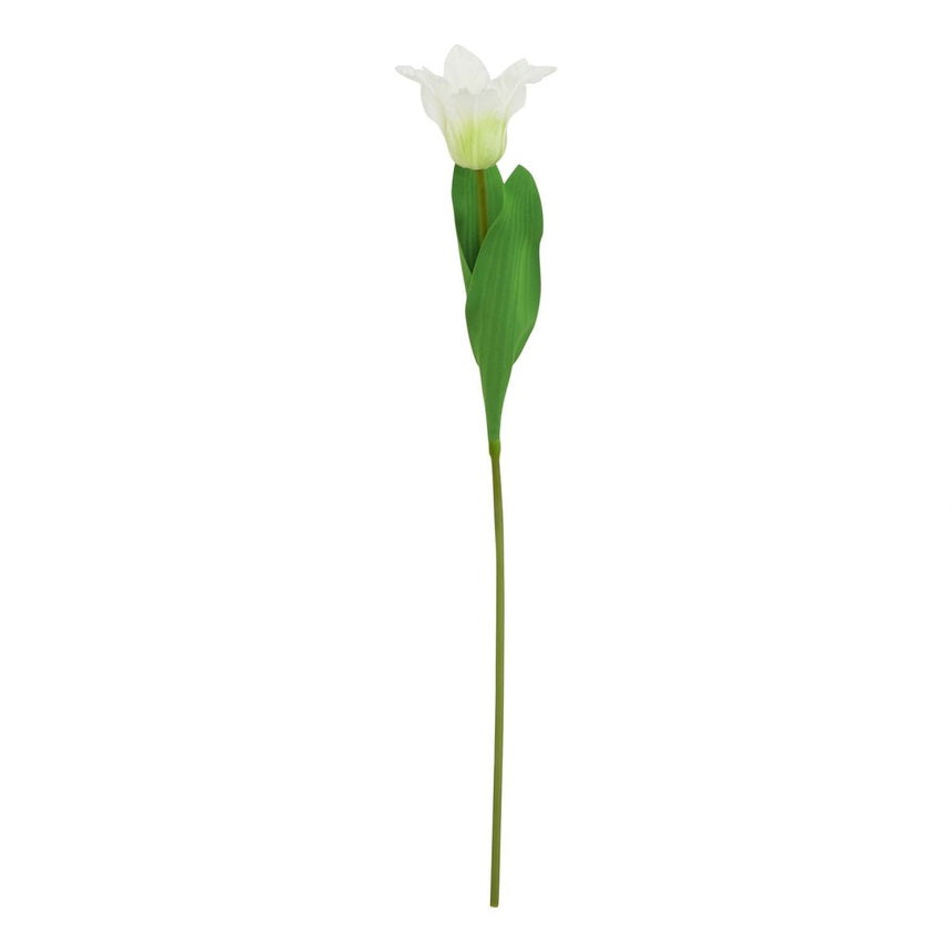 The Natural Garden Collection White Parrot Tulip Luxury Home Decor Garden & Outdoor And Gifts