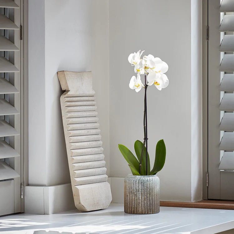 Verre Frosted Ribbed Glass Gold Planter H14Cm W15Cm Luxury Home Decor Garden & Outdoor And Gifts