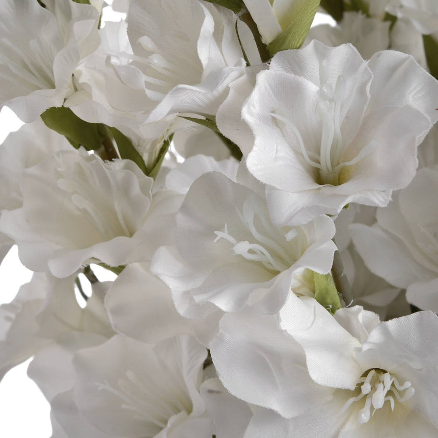 White Gladioli Luxury Home Decor Garden & Outdoor And Gifts
