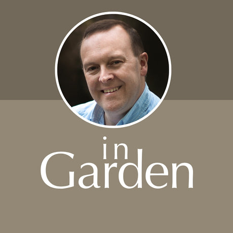 Curators Choice - In Garden & Outdoor Living - Decor Sanctuary UK