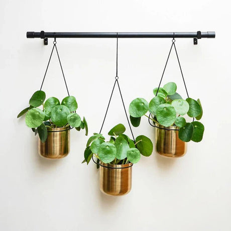 Indoor Hanging Planters or Baskets - Decor Sanctuary UK